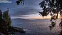 ./images/koeye/fitz-hugh/20260704/fitz-hugh20260704_222501M.jpg
