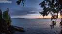 ./images/koeye/fitz-hugh/20260704/fitz-hugh20260704_223001M.jpg