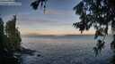 ./images/koeye/fitz-hugh/20260705/fitz-hugh20260705_060501M.jpg