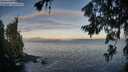 ./images/koeye/fitz-hugh/20260705/fitz-hugh20260705_061001M.jpg