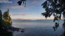 ./images/koeye/fitz-hugh/20260705/fitz-hugh20260705_062502M.jpg