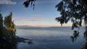 ./images/koeye/fitz-hugh/20260705/fitz-hugh20260705_063001M.jpg