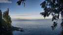 ./images/koeye/fitz-hugh/20260705/fitz-hugh20260705_065502M.jpg