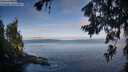 ./images/koeye/fitz-hugh/20260705/fitz-hugh20260705_072001M.jpg