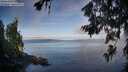 ./images/koeye/fitz-hugh/20260705/fitz-hugh20260705_072501M.jpg