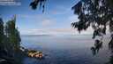 ./images/koeye/fitz-hugh/20260705/fitz-hugh20260705_075501M.jpg