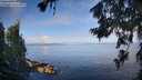 ./images/koeye/fitz-hugh/20260705/fitz-hugh20260705_080501M.jpg