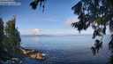 ./images/koeye/fitz-hugh/20260705/fitz-hugh20260705_081001M.jpg