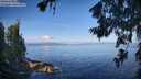 ./images/koeye/fitz-hugh/20260705/fitz-hugh20260705_081501M.jpg
