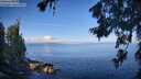 ./images/koeye/fitz-hugh/20260705/fitz-hugh20260705_082001M.jpg