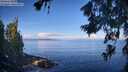 ./images/koeye/fitz-hugh/20260705/fitz-hugh20260705_085002M.jpg