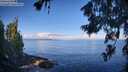 ./images/koeye/fitz-hugh/20260705/fitz-hugh20260705_085501M.jpg