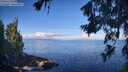 ./images/koeye/fitz-hugh/20260705/fitz-hugh20260705_091001M.jpg
