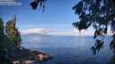./images/koeye/fitz-hugh/20260705/fitz-hugh20260705_092501M.jpg