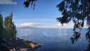 ./images/koeye/fitz-hugh/20260705/fitz-hugh20260705_093001M.jpg