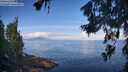 ./images/koeye/fitz-hugh/20260705/fitz-hugh20260705_093501M.jpg