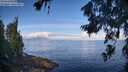 ./images/koeye/fitz-hugh/20260705/fitz-hugh20260705_094002M.jpg