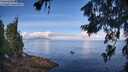 ./images/koeye/fitz-hugh/20260705/fitz-hugh20260705_095001M.jpg