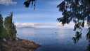 ./images/koeye/fitz-hugh/20260705/fitz-hugh20260705_095502M.jpg