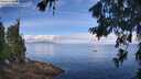 ./images/koeye/fitz-hugh/20260705/fitz-hugh20260705_100001M.jpg