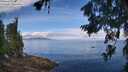 ./images/koeye/fitz-hugh/20260705/fitz-hugh20260705_100501M.jpg