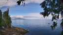 ./images/koeye/fitz-hugh/20260705/fitz-hugh20260705_101001M.jpg