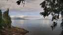./images/koeye/fitz-hugh/20260705/fitz-hugh20260705_103001M.jpg