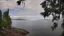 ./images/koeye/fitz-hugh/20260705/fitz-hugh20260705_110001M.jpg