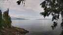 ./images/koeye/fitz-hugh/20260705/fitz-hugh20260705_112501M.jpg