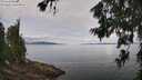 ./images/koeye/fitz-hugh/20260705/fitz-hugh20260705_113501M.jpg