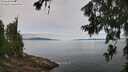 ./images/koeye/fitz-hugh/20260705/fitz-hugh20260705_115501M.jpg