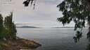 ./images/koeye/fitz-hugh/20260705/fitz-hugh20260705_120001M.jpg