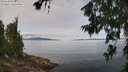 ./images/koeye/fitz-hugh/20260705/fitz-hugh20260705_120501M.jpg