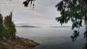 ./images/koeye/fitz-hugh/20260705/fitz-hugh20260705_121001M.jpg