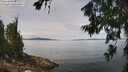 ./images/koeye/fitz-hugh/20260705/fitz-hugh20260705_122001M.jpg