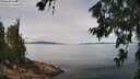 ./images/koeye/fitz-hugh/20260705/fitz-hugh20260705_122501M.jpg