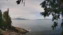 ./images/koeye/fitz-hugh/20260705/fitz-hugh20260705_123501M.jpg