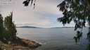 ./images/koeye/fitz-hugh/20260705/fitz-hugh20260705_124001M.jpg