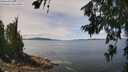 ./images/koeye/fitz-hugh/20260705/fitz-hugh20260705_124502M.jpg