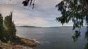 ./images/koeye/fitz-hugh/20260705/fitz-hugh20260705_125001M.jpg