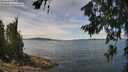 ./images/koeye/fitz-hugh/20260705/fitz-hugh20260705_125501M.jpg
