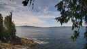 ./images/koeye/fitz-hugh/20260705/fitz-hugh20260705_130001M.jpg