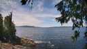 ./images/koeye/fitz-hugh/20260705/fitz-hugh20260705_130502M.jpg