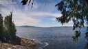./images/koeye/fitz-hugh/20260705/fitz-hugh20260705_131002M.jpg