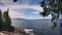 ./images/koeye/fitz-hugh/20260705/fitz-hugh20260705_132001M.jpg