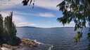 ./images/koeye/fitz-hugh/20260705/fitz-hugh20260705_133001M.jpg