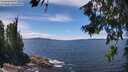 ./images/koeye/fitz-hugh/20260705/fitz-hugh20260705_133501M.jpg