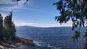 ./images/koeye/fitz-hugh/20260705/fitz-hugh20260705_134502M.jpg