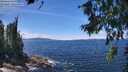 ./images/koeye/fitz-hugh/20260705/fitz-hugh20260705_135001M.jpg