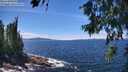 ./images/koeye/fitz-hugh/20260705/fitz-hugh20260705_135501M.jpg